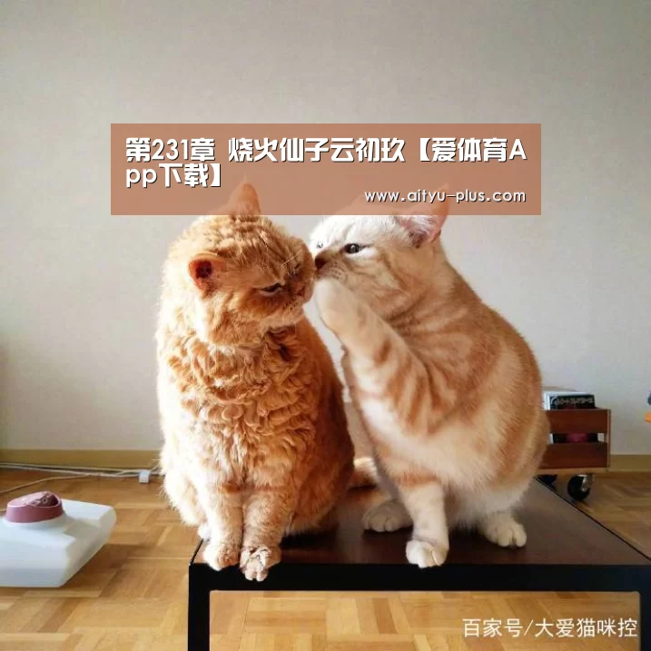 第231章 烧火仙子云初玖【爱体育App下载】
