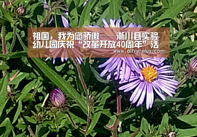 爱体育App下载