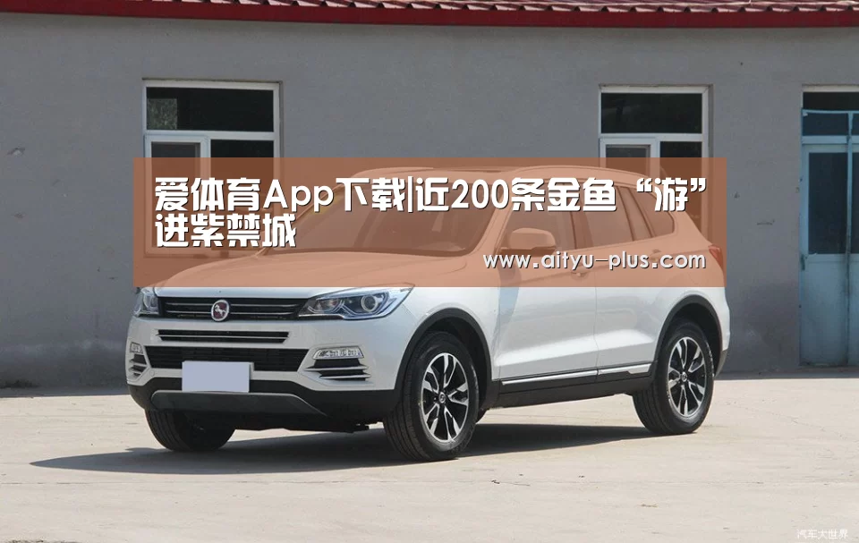 爱体育App下载|近200条金鱼“游”进紫禁城