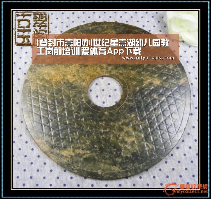 [登封市嵩阳办]世纪星嵩湖幼儿园教工岗前培训|爱体育App下载