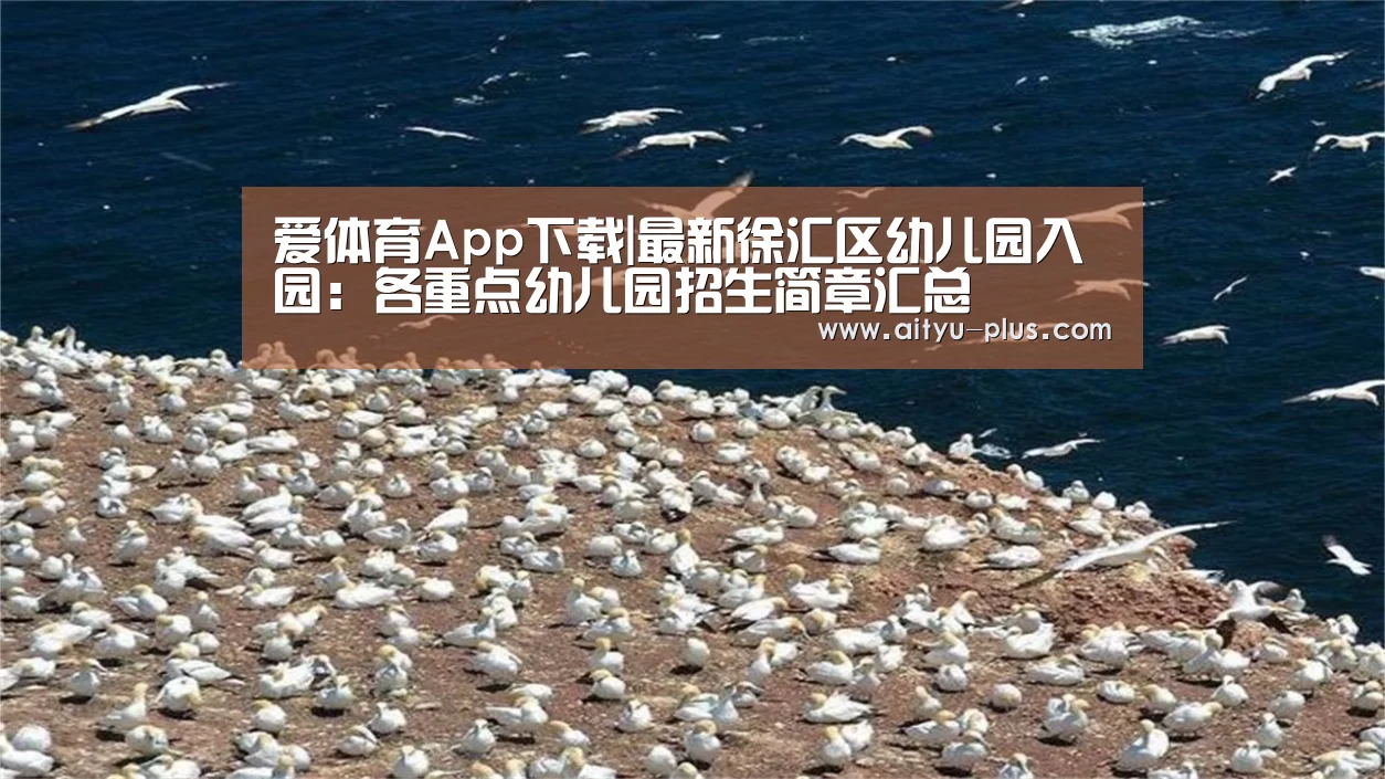 爱体育App下载