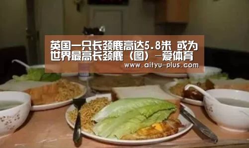 爱体育App下载