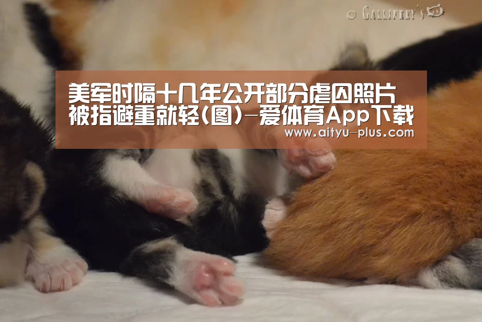 爱体育App下载